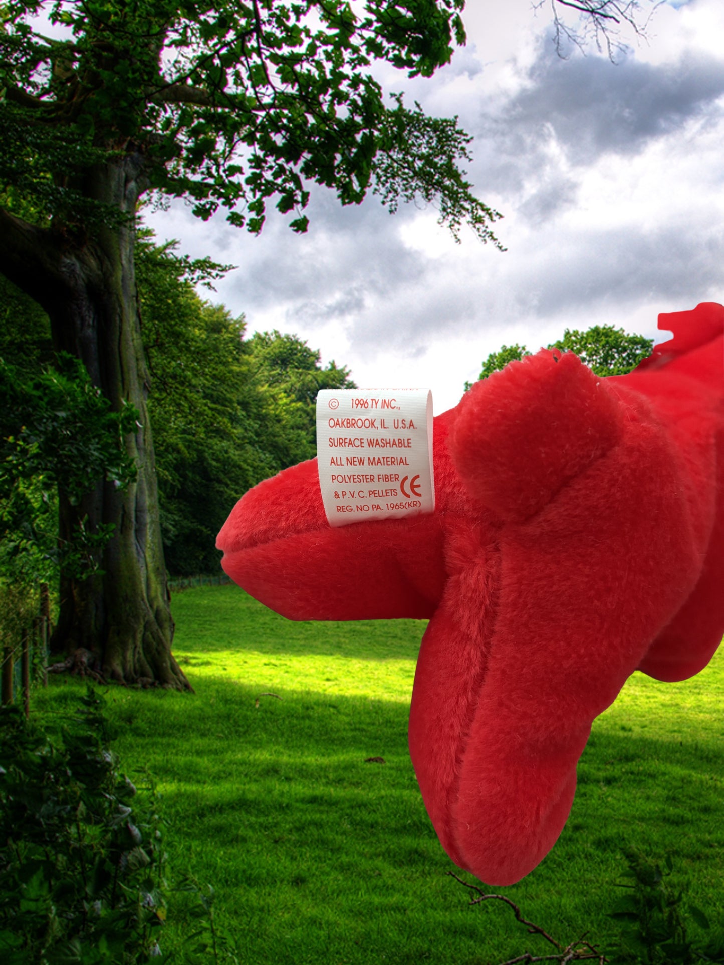 Ty Beanie Baby | Rover the Dog