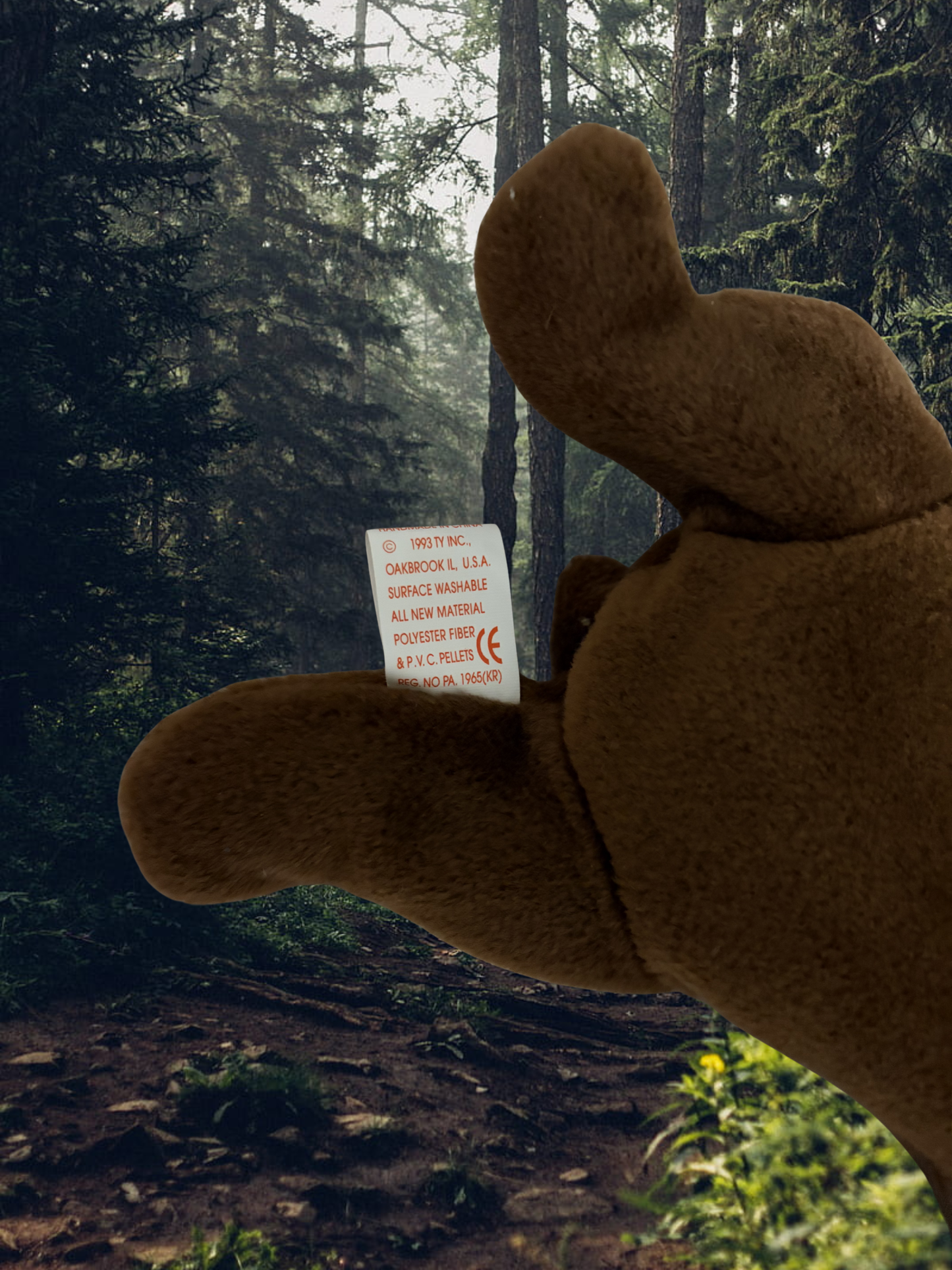 Ty Beanie Baby | Chocolate the Moose
