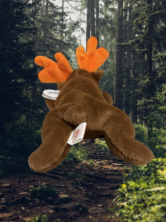 Ty Beanie Baby | Chocolate the Moose