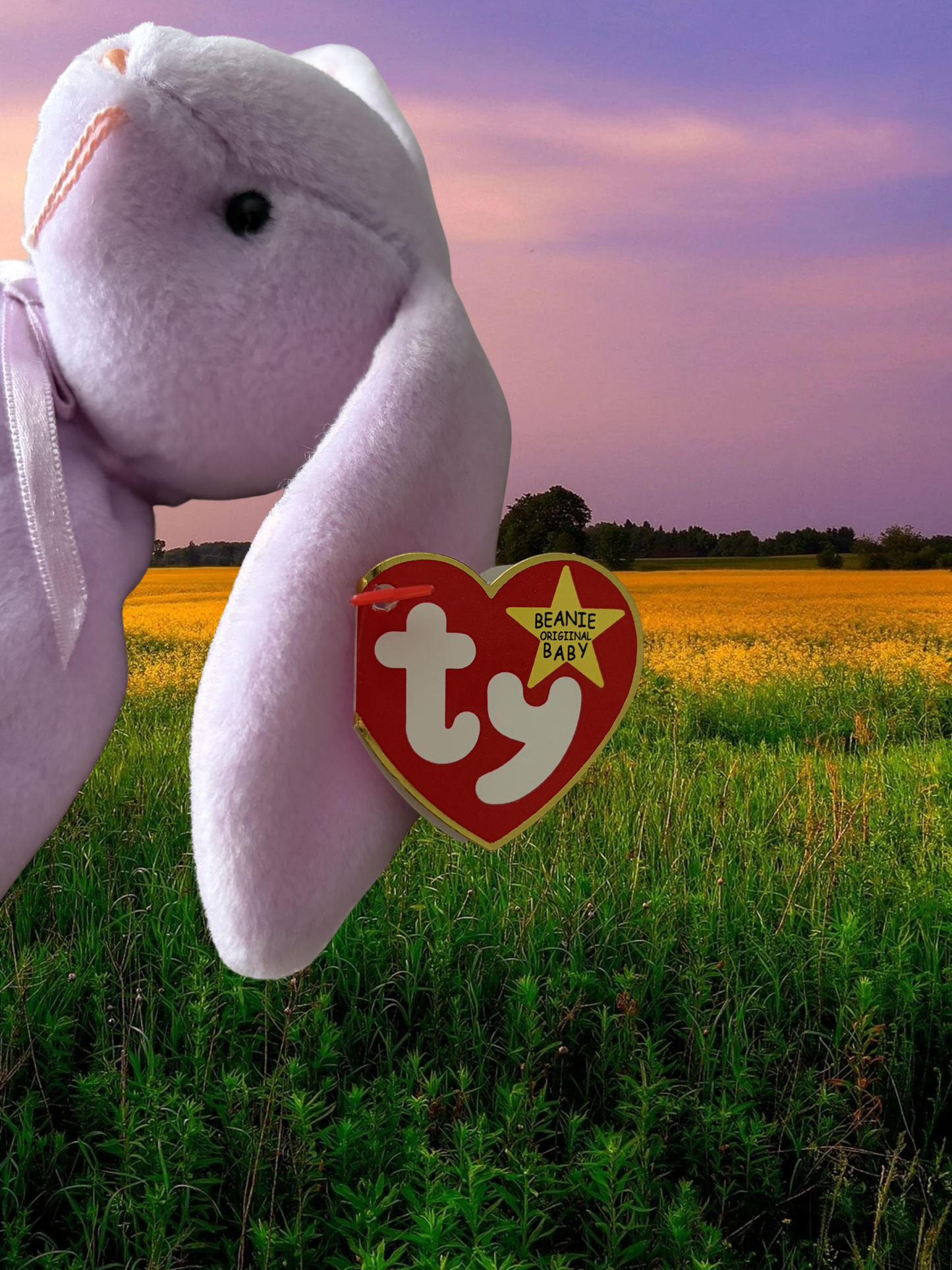 Ty Beanie Babies | Floppity the Bunny
