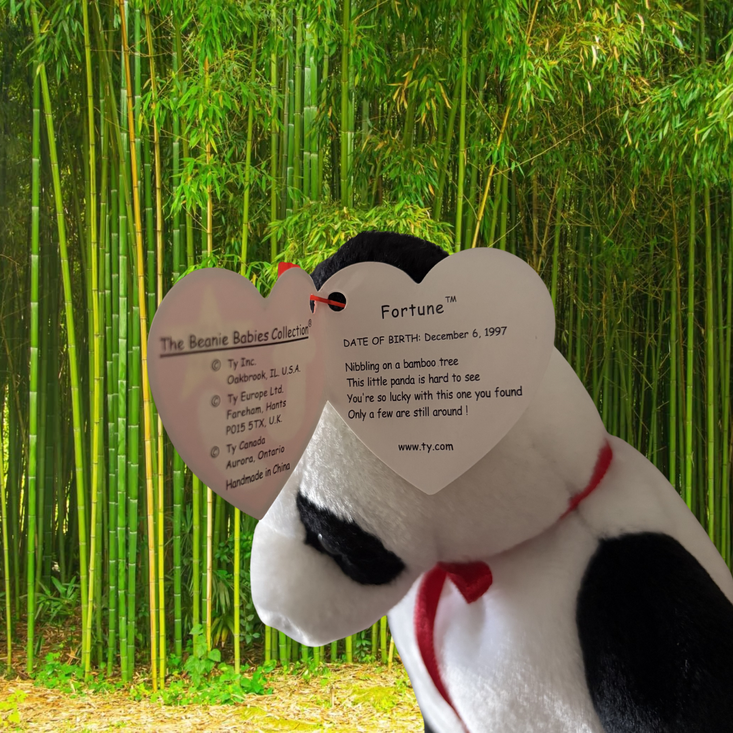 Ty Beanie Baby | Fortune the Panda