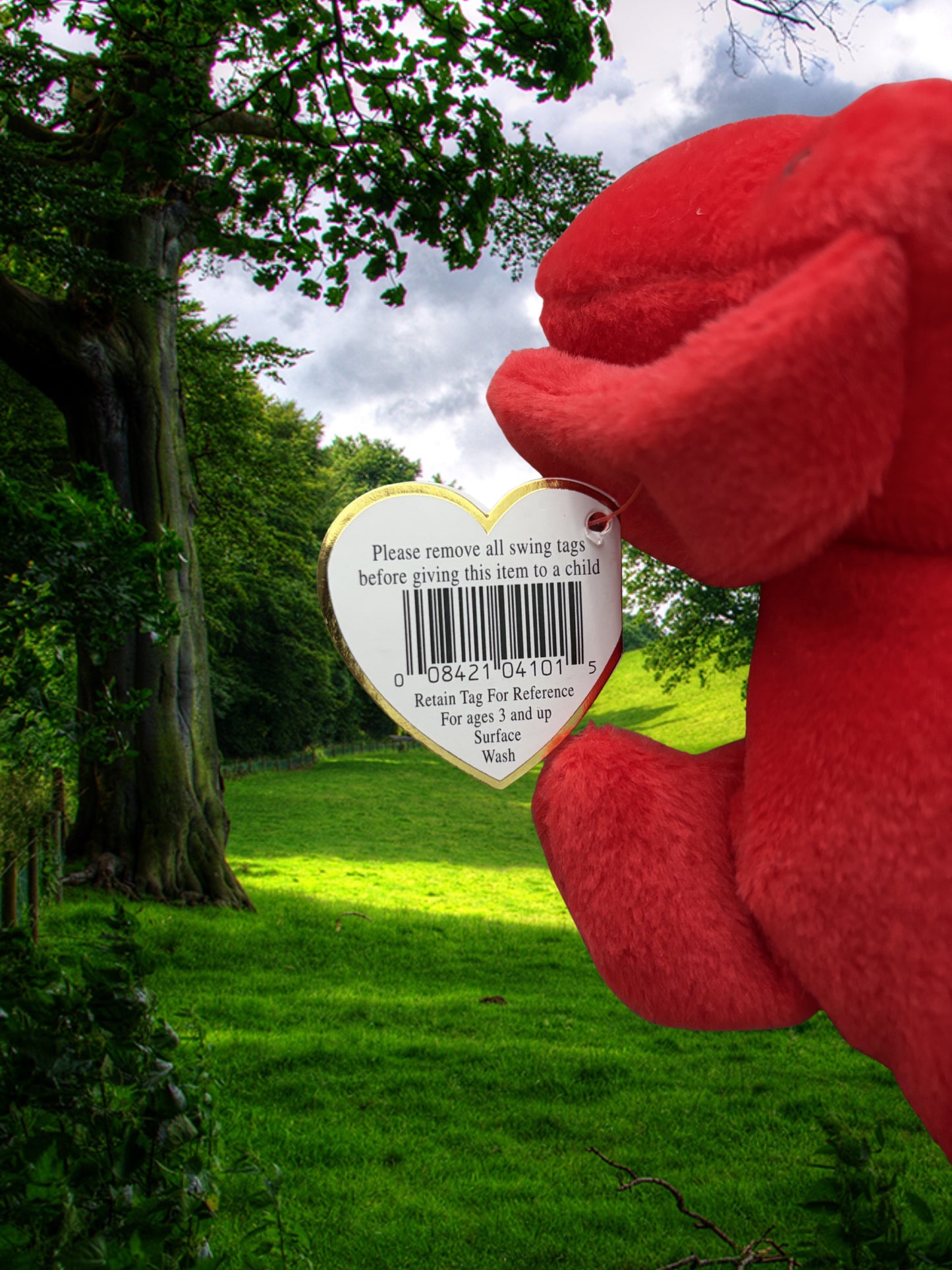 Ty Beanie Baby | Rover the Dog