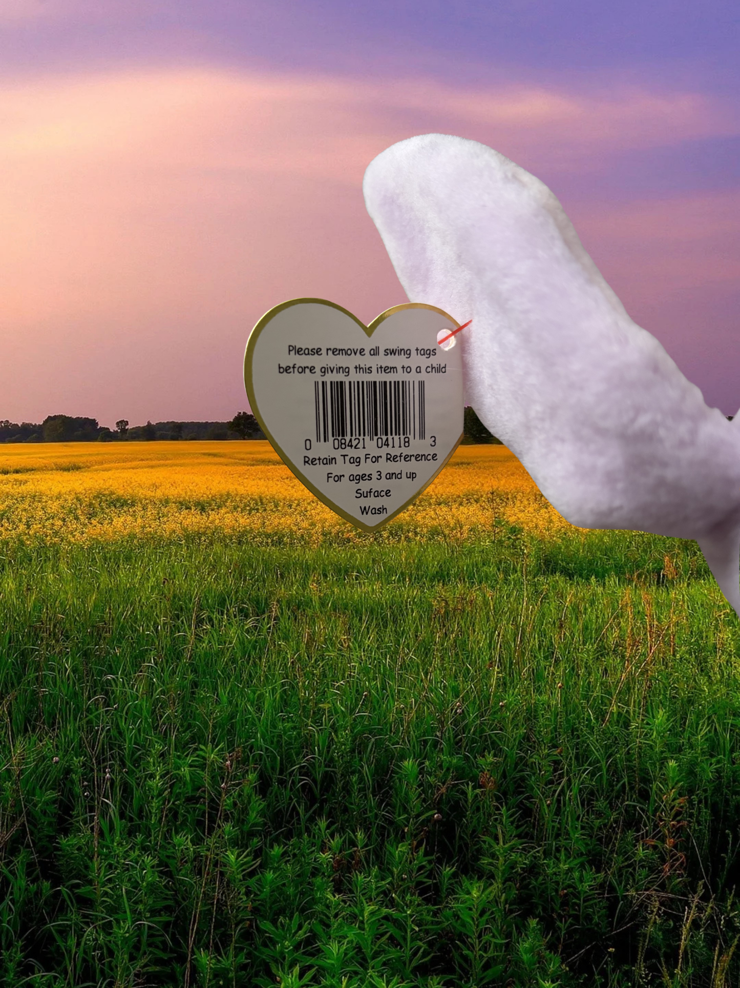Ty Beanie Babies | Floppity the Bunny
