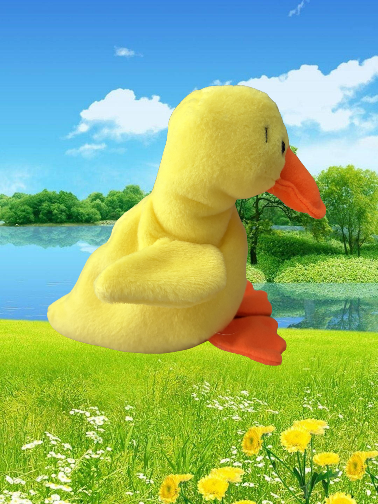 Ty Beanie Baby | Quackers the Duck