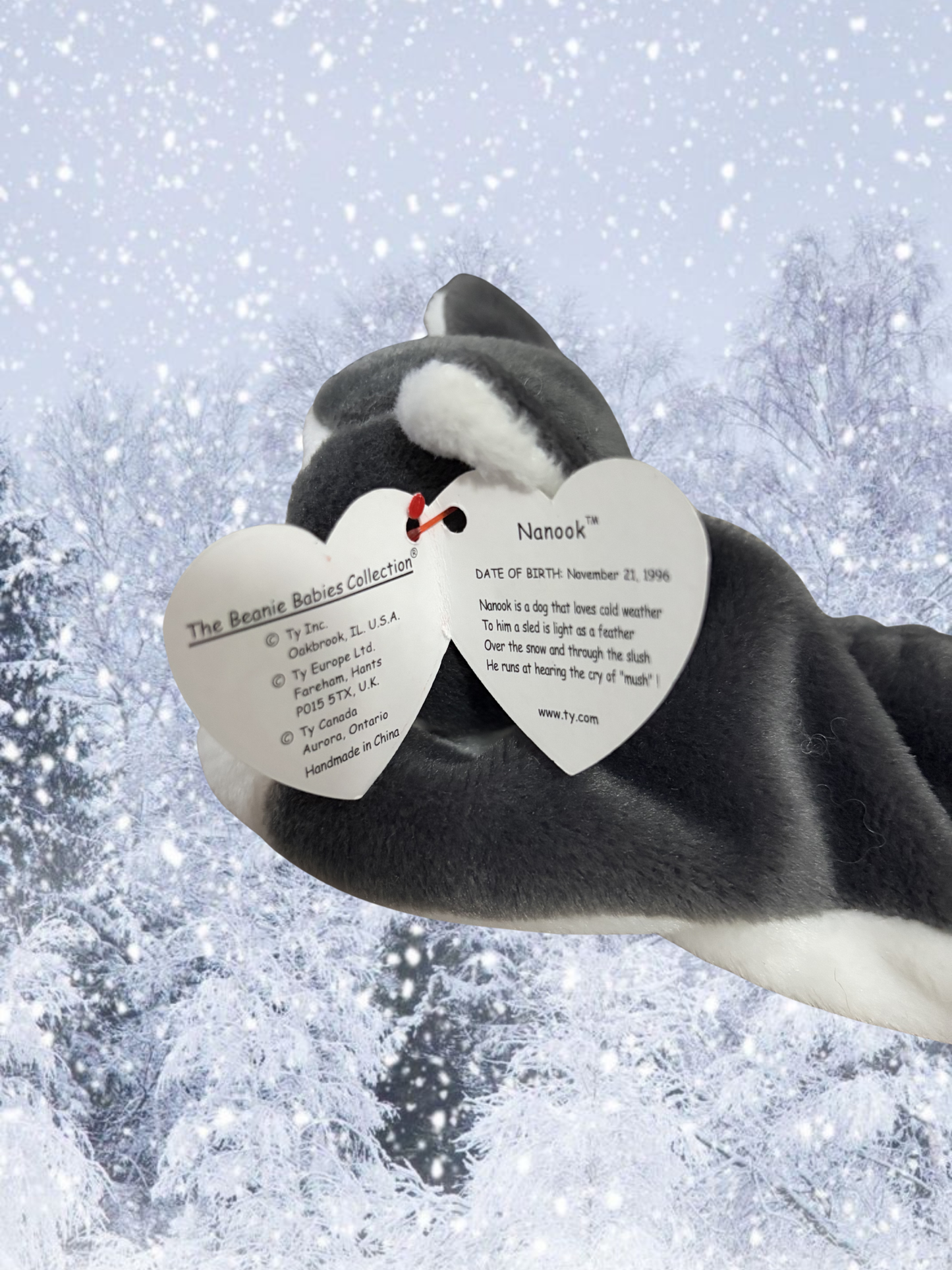 Ty Beanie Baby | Nanook the Husky