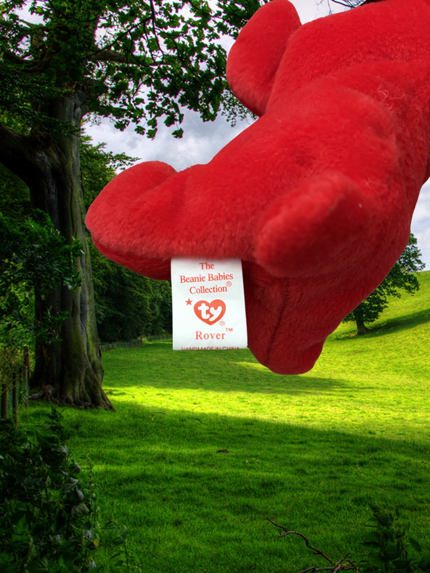 Ty Beanie Baby | Rover the Dog