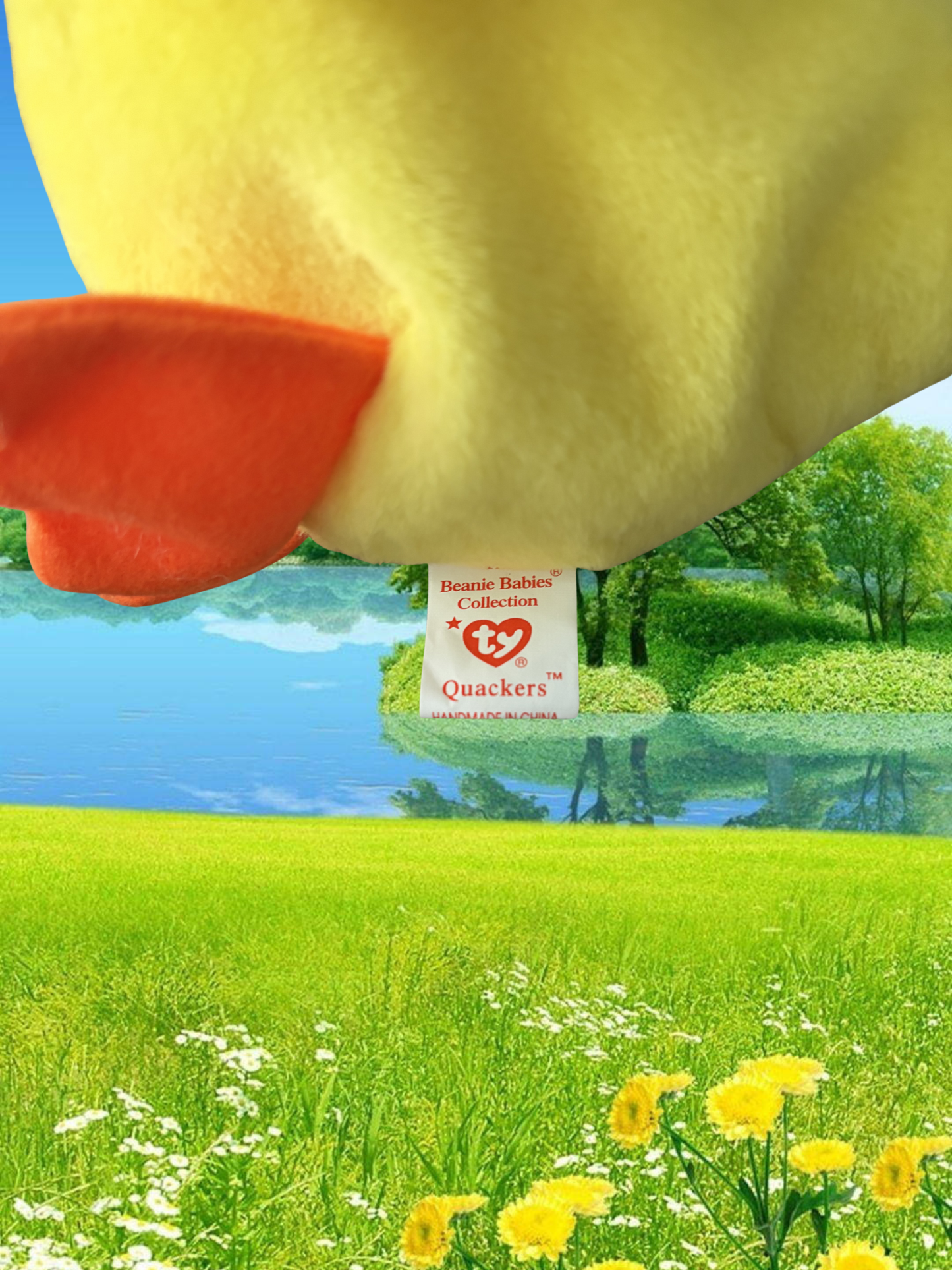 Ty Beanie Baby | Quackers the Duck