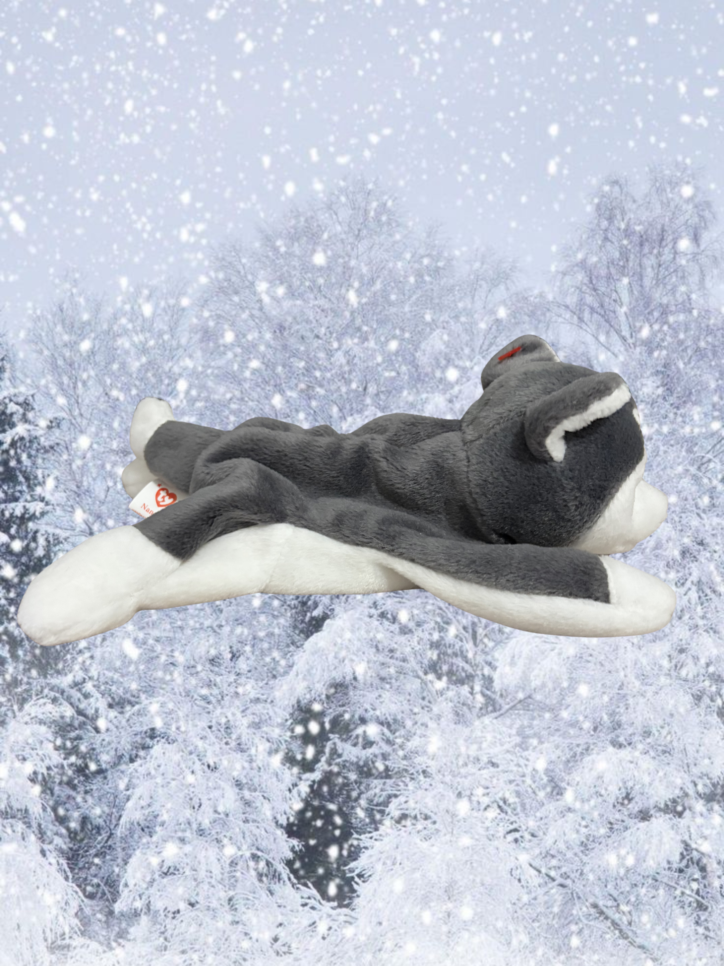 Ty Beanie Baby | Nanook the Husky
