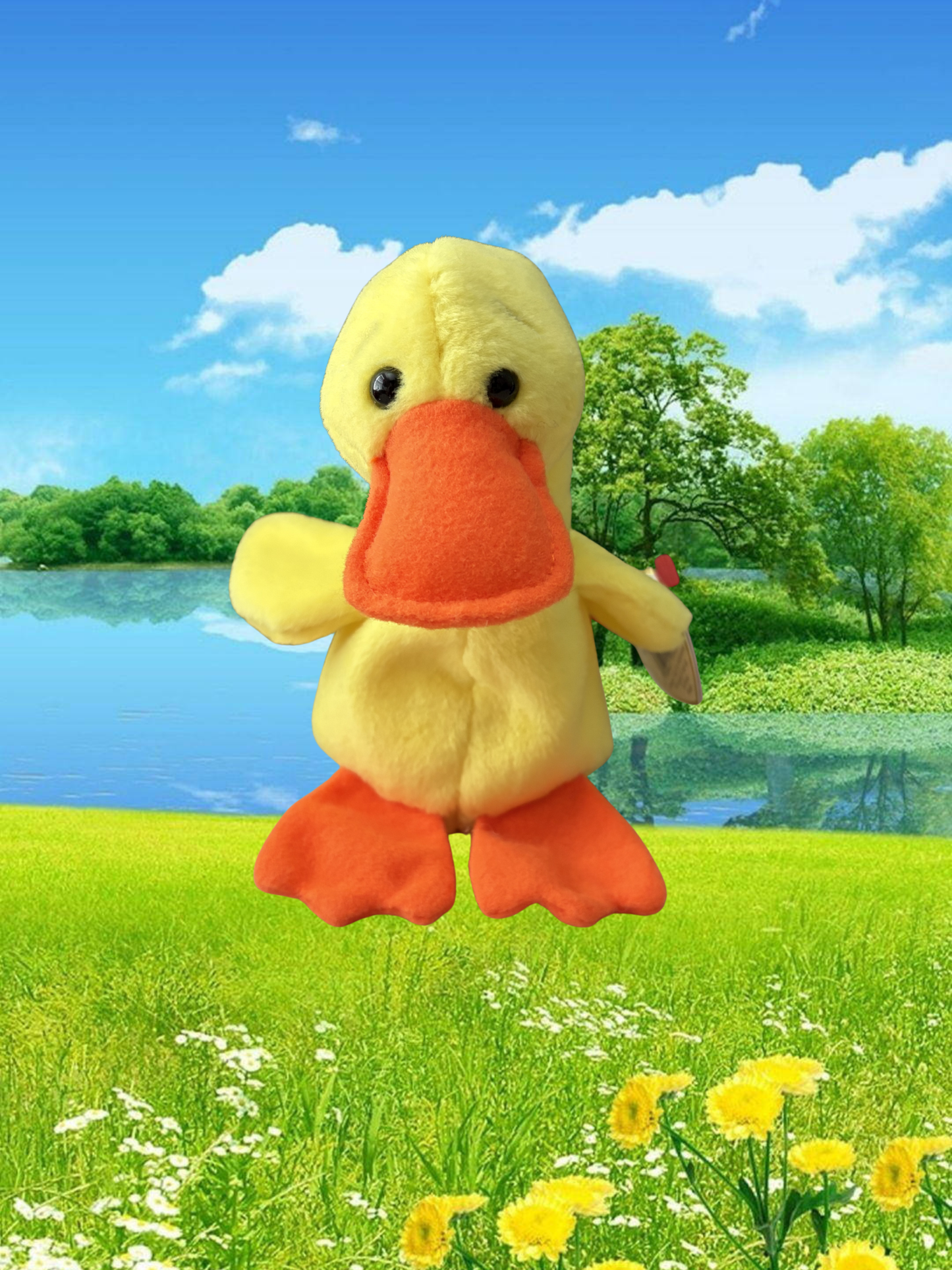 Ty Beanie Baby | Quackers the Duck