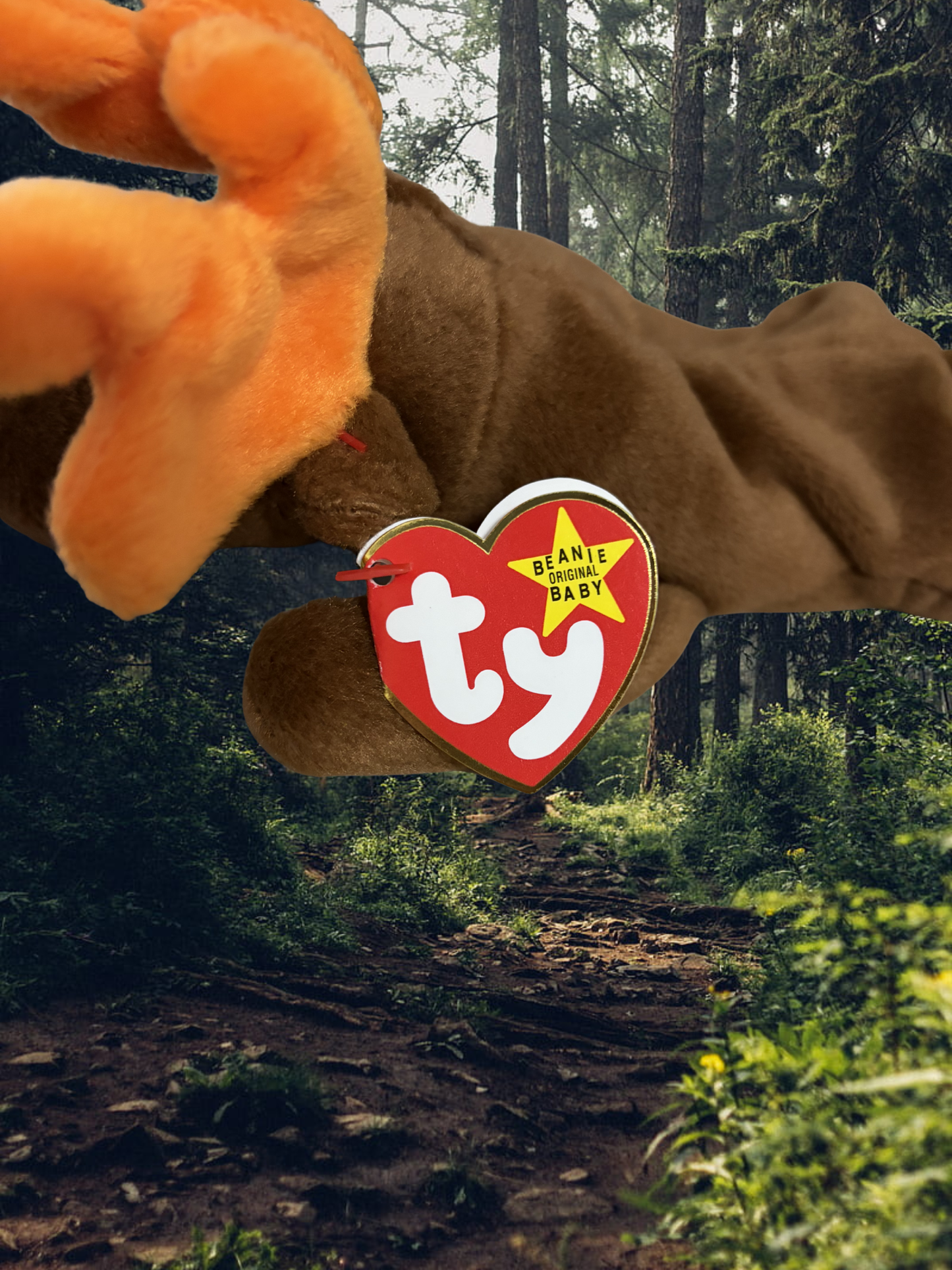 Ty Beanie Baby | Chocolate the Moose