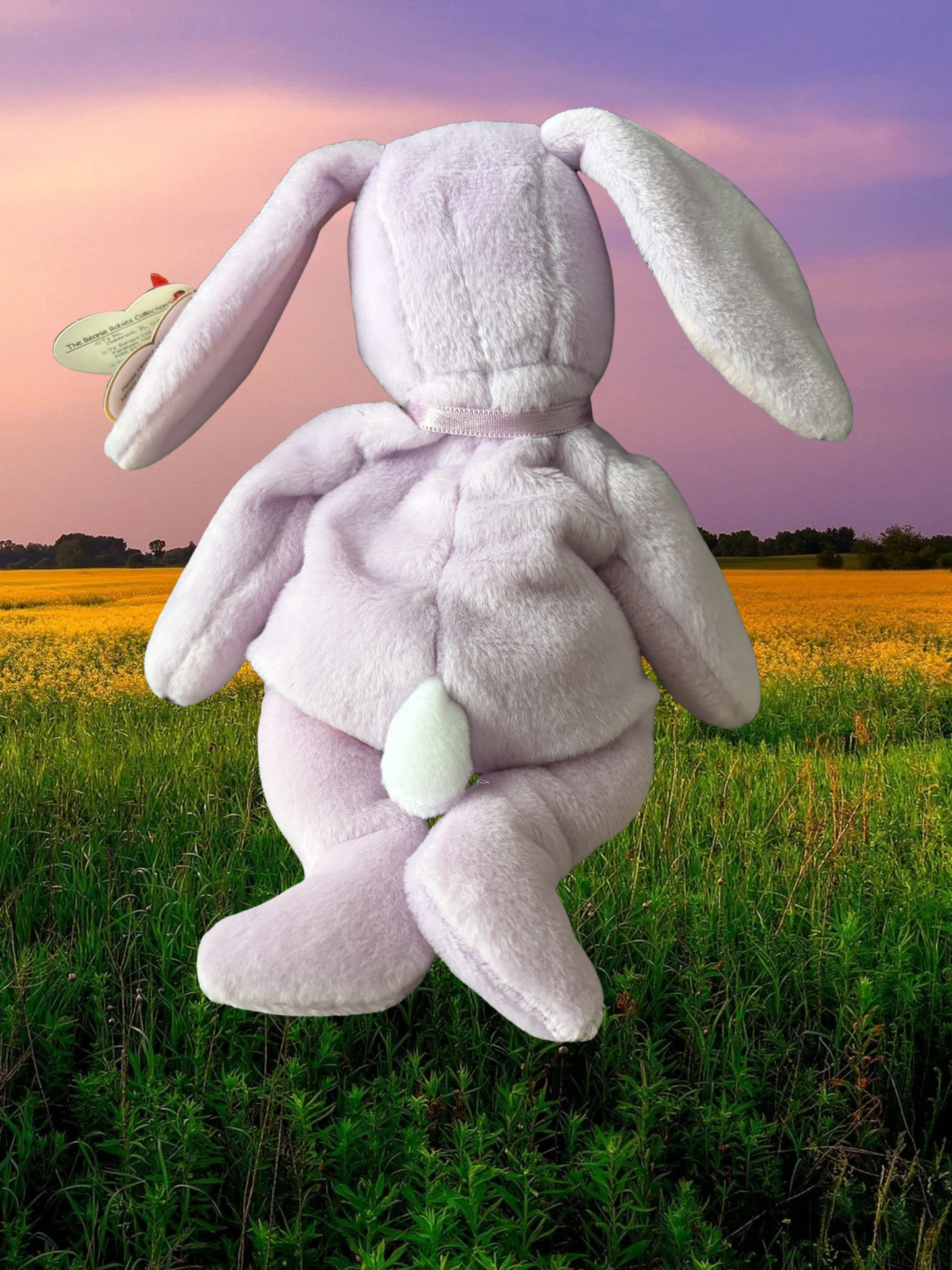 Ty Beanie Babies | Floppity the Bunny