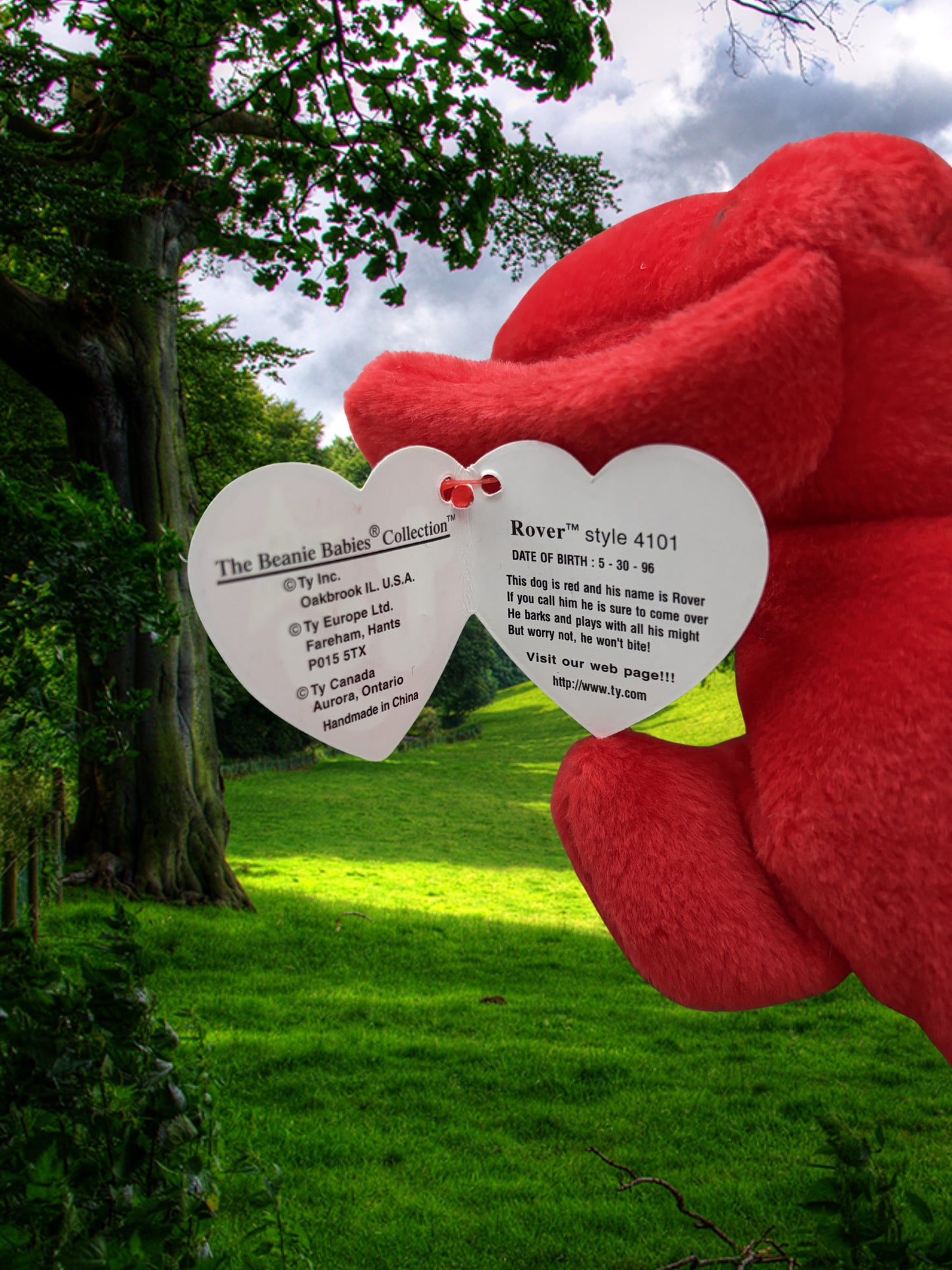 Ty Beanie Baby | Rover the Dog