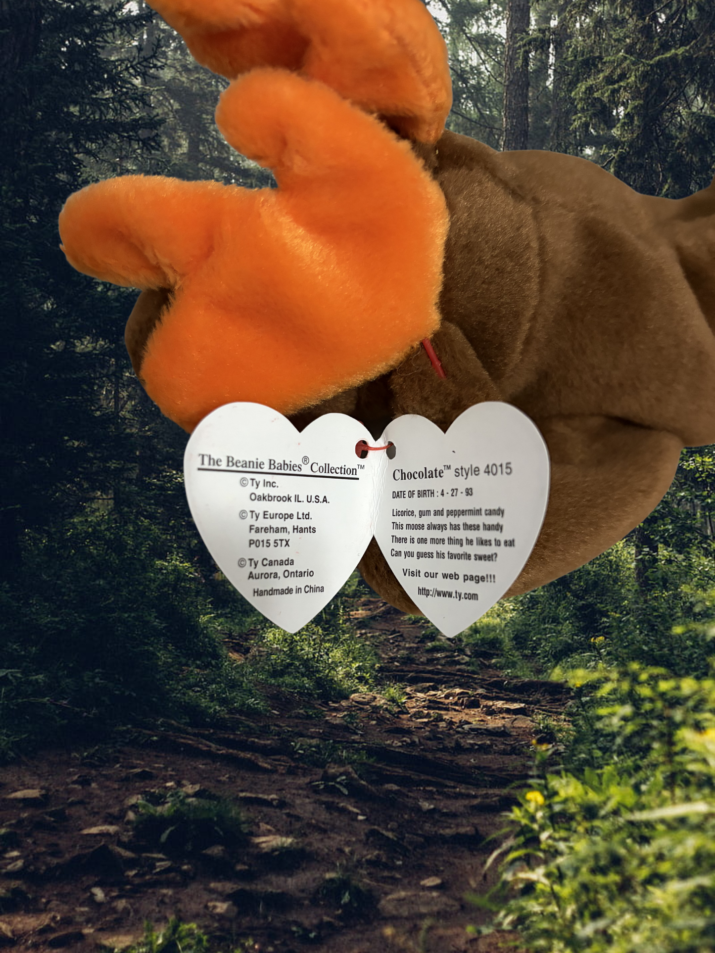Ty Beanie Baby | Chocolate the Moose