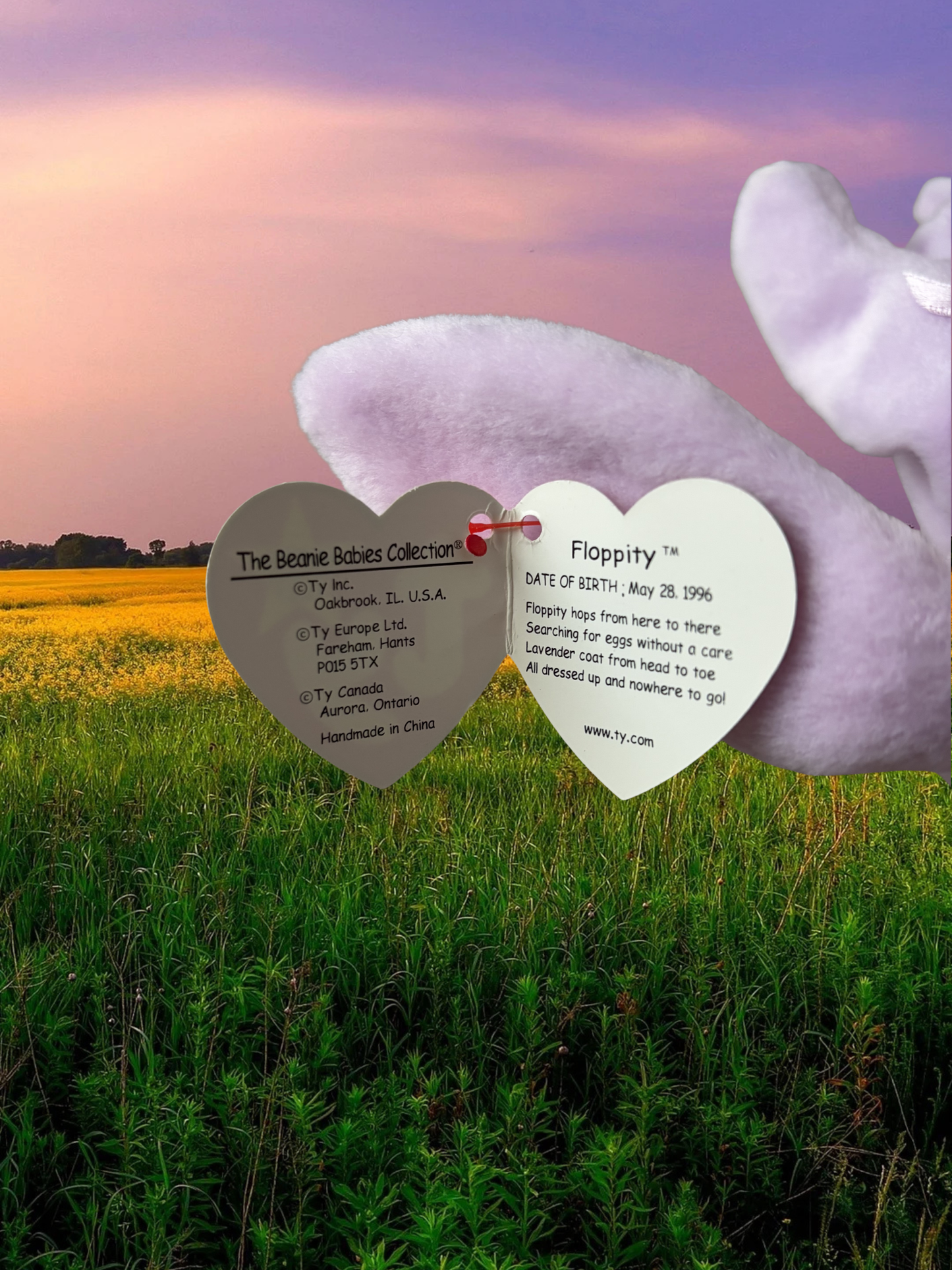 Ty Beanie Babies | Floppity the Bunny