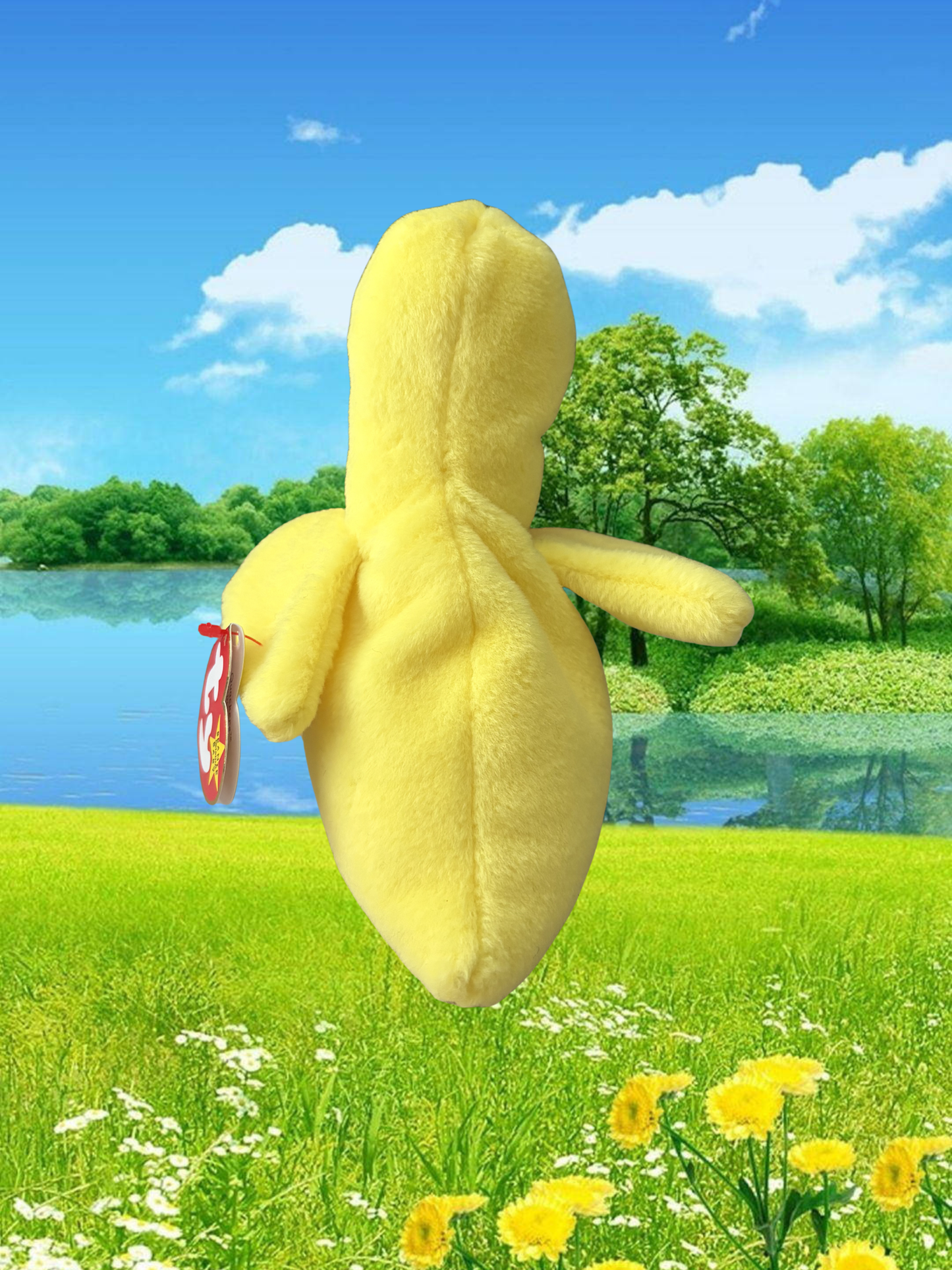 Ty Beanie Baby | Quackers the Duck