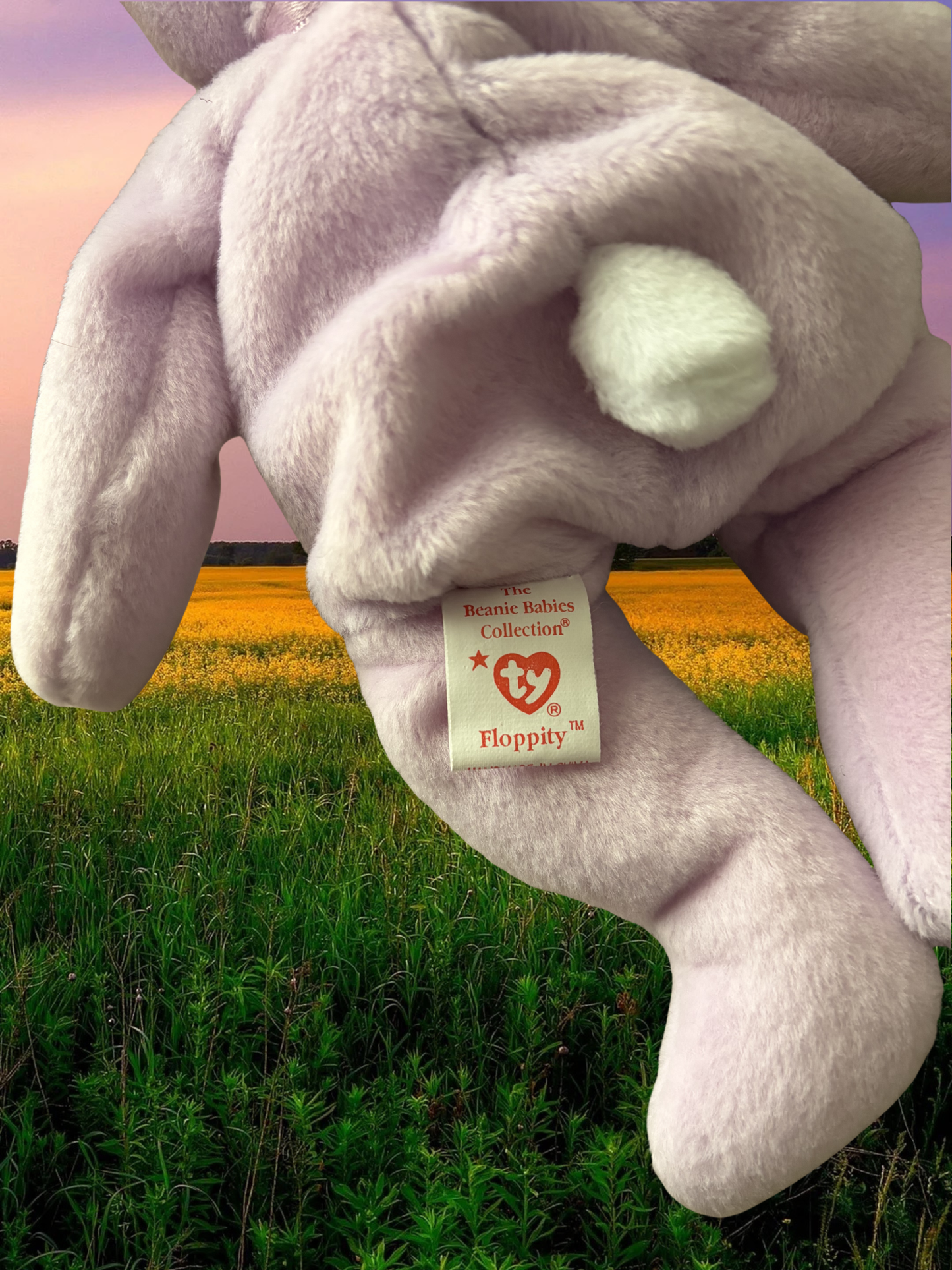 Ty Beanie Babies | Floppity the Bunny