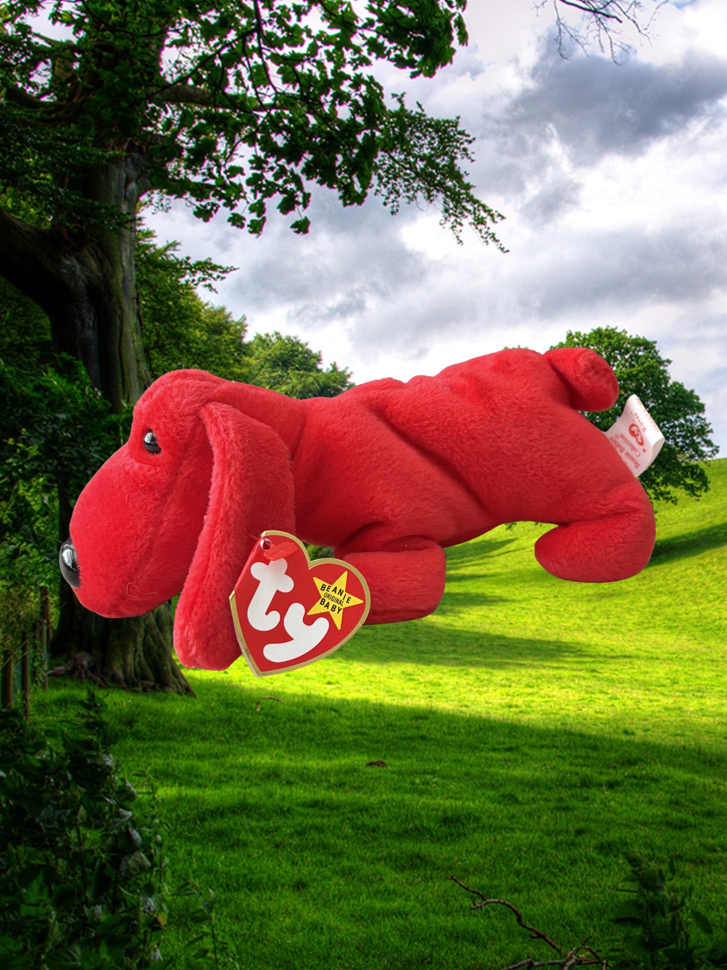Ty Beanie Baby | Rover the Dog