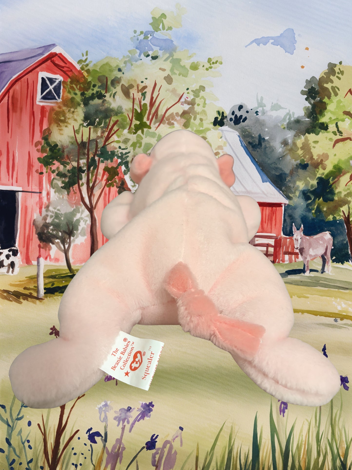 Ty Beanie Baby | Squealers the Pig