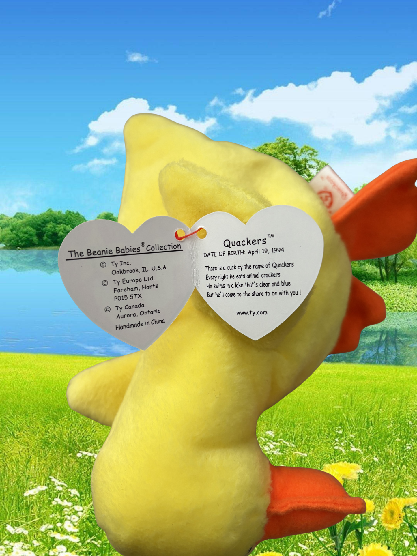 Ty Beanie Baby | Quackers the Duck