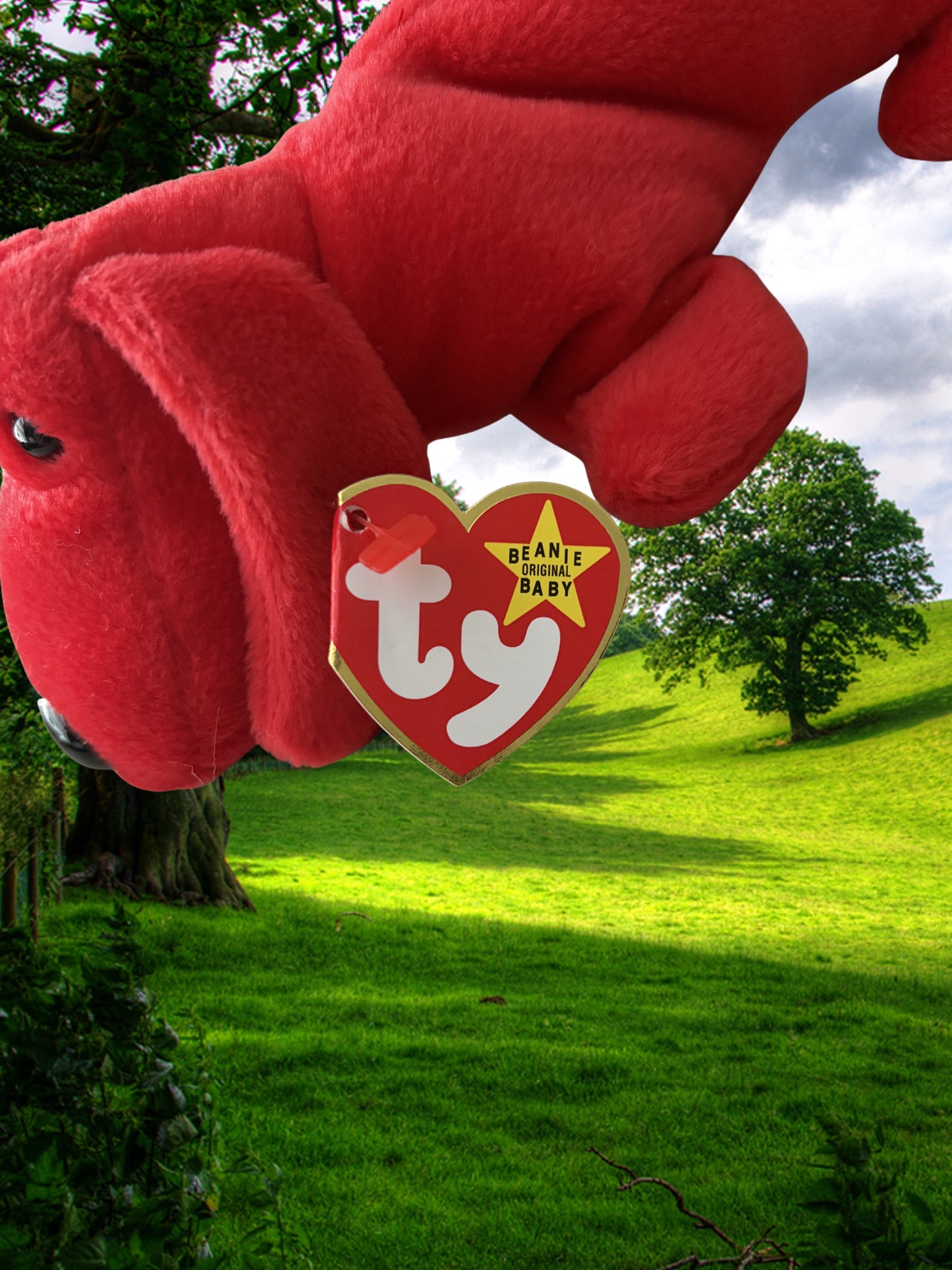 Ty Beanie Baby | Rover the Dog