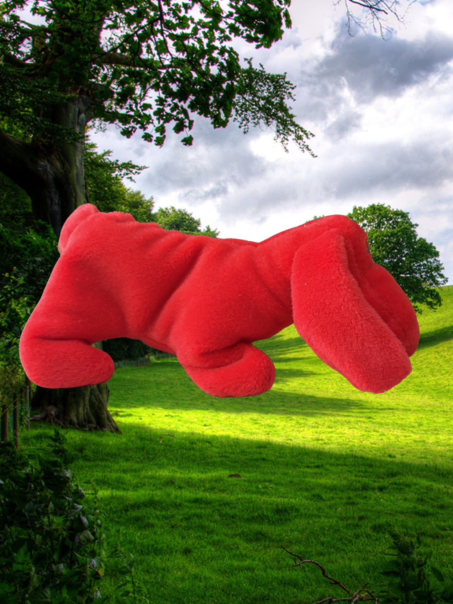 Ty Beanie Baby | Rover the Dog