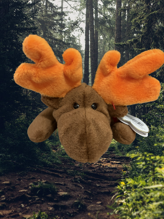 Ty Beanie Baby | Chocolate the Moose