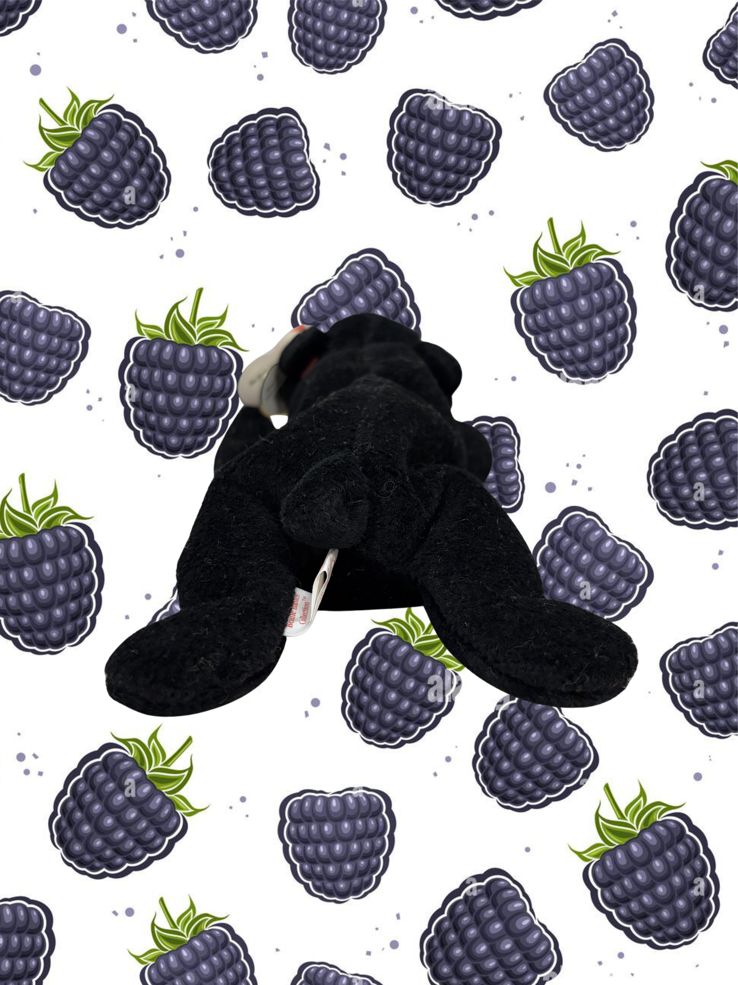 Ty Beanie Baby | Blackie the Bear 1993