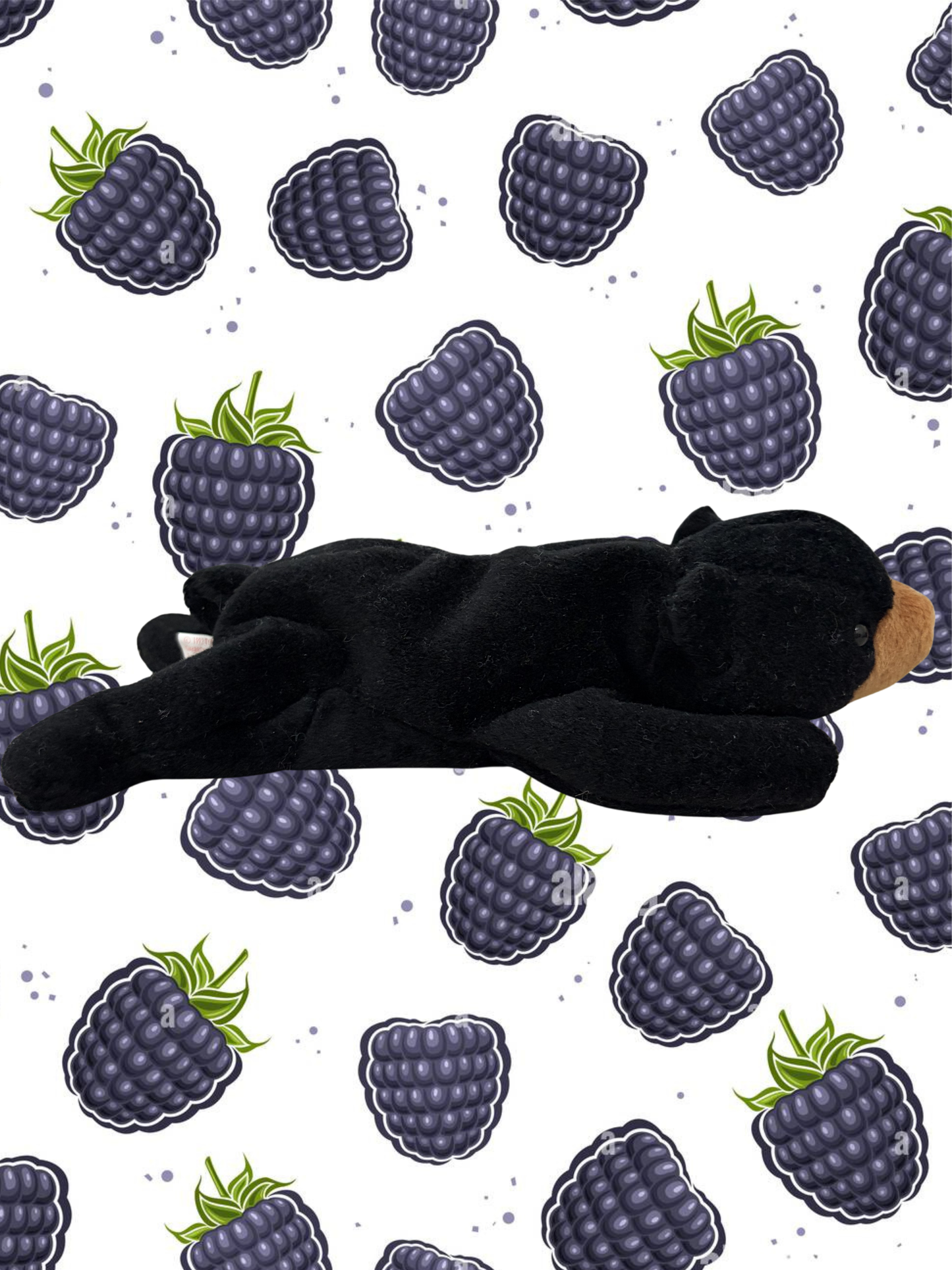 Ty Beanie Baby | Blackie the Bear 1993