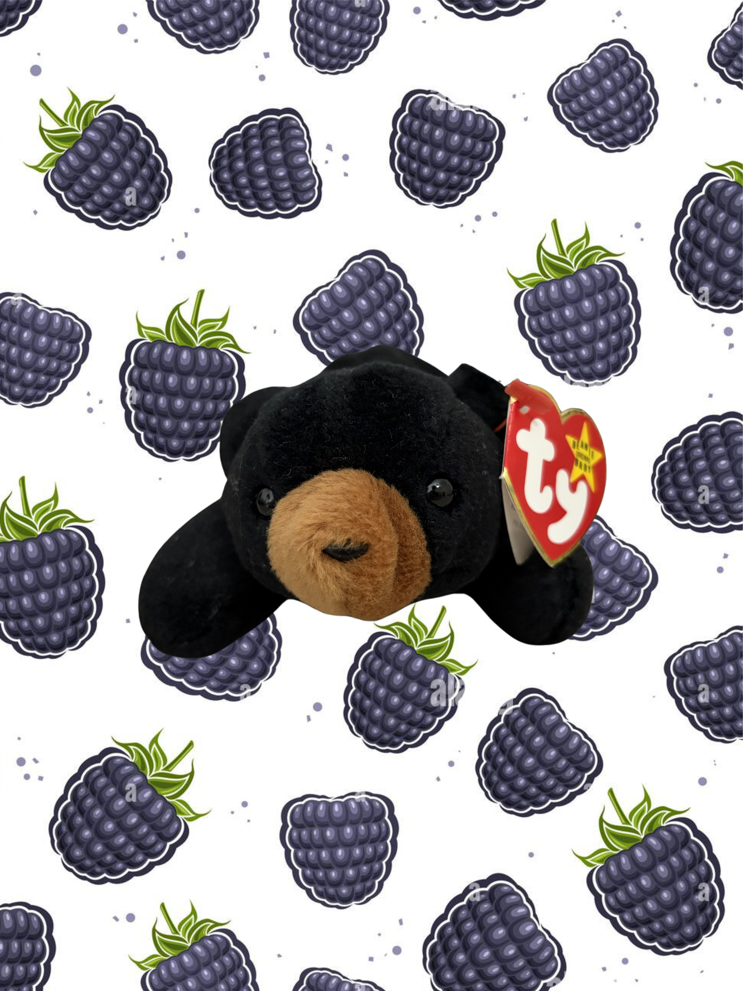Ty Beanie Baby | Blackie the Bear 1993