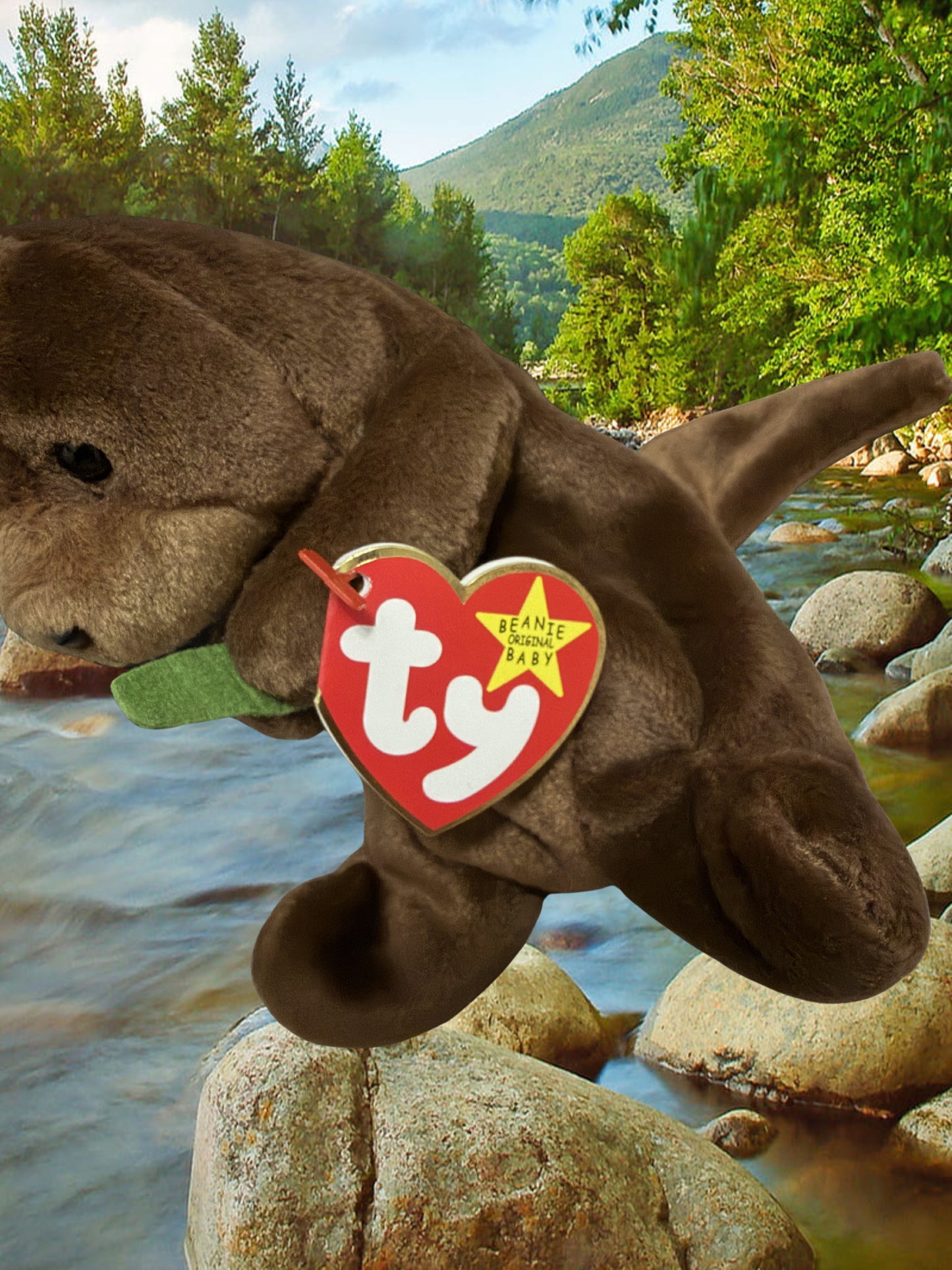 Ty Beanie Baby | Seaweed the Otter 1996
