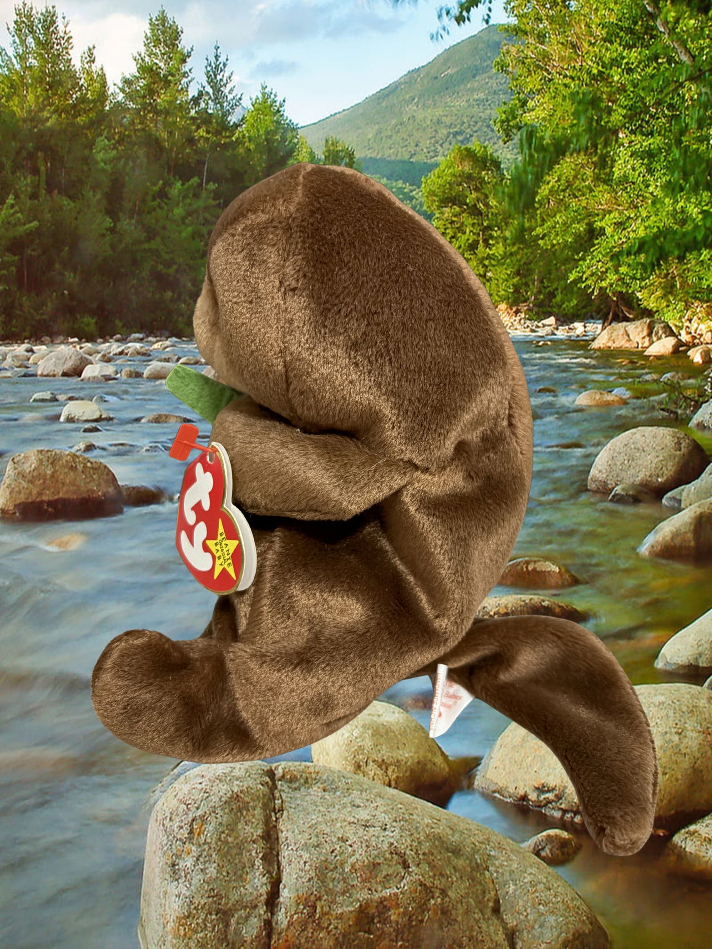 Ty Beanie Baby | Seaweed the Otter 1996