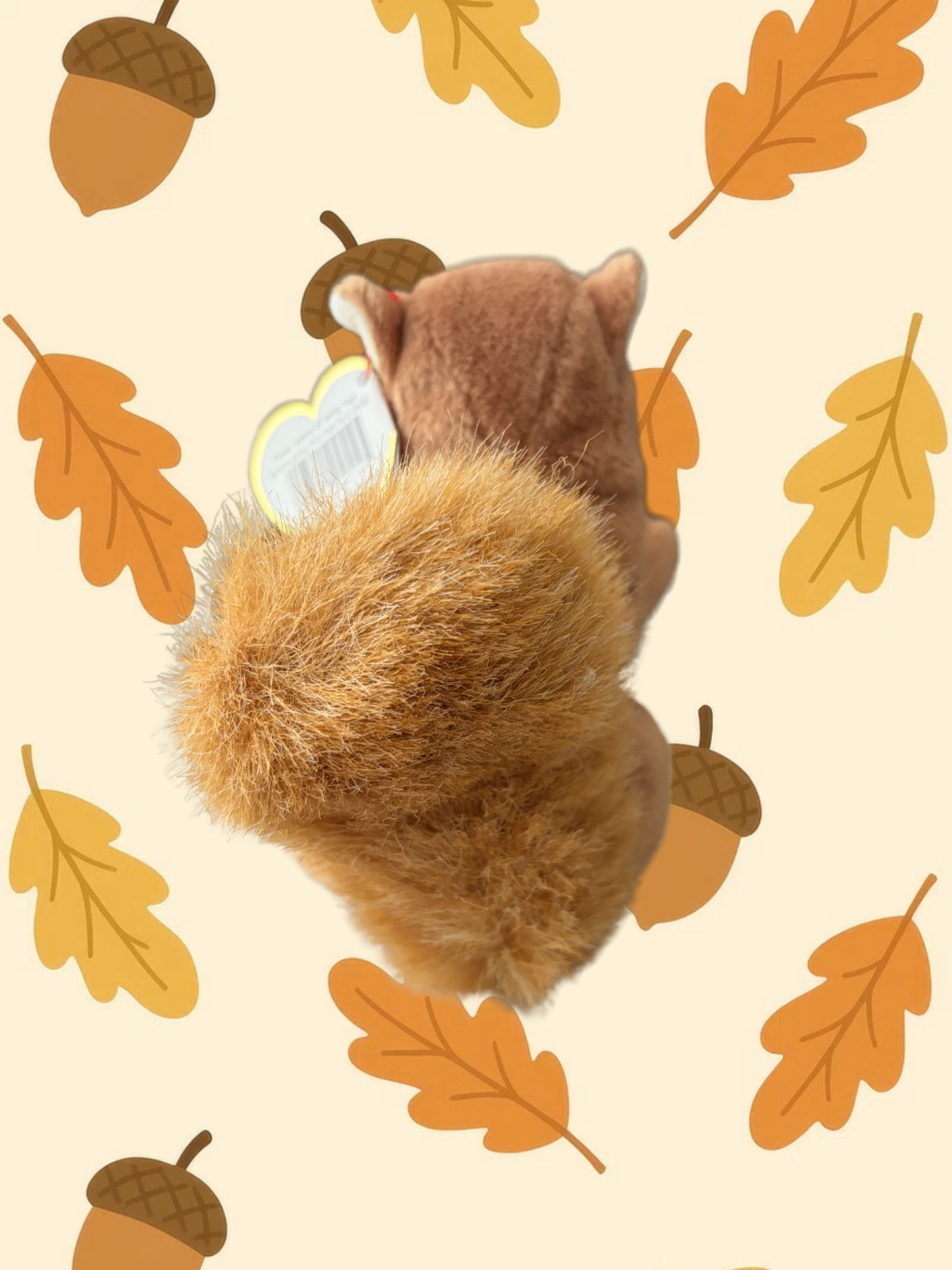 Ty Beanie Baby | Nuts the Squirrel 1996