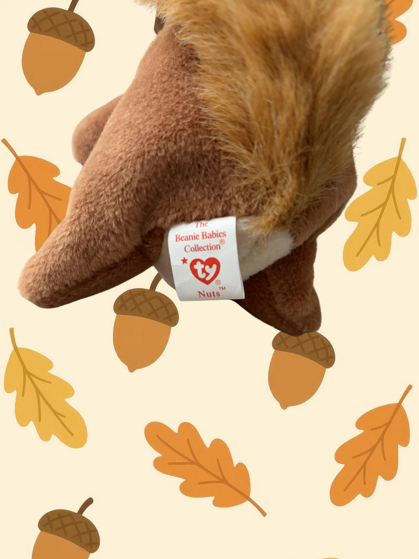 Ty Beanie Baby | Nuts the Squirrel 1996