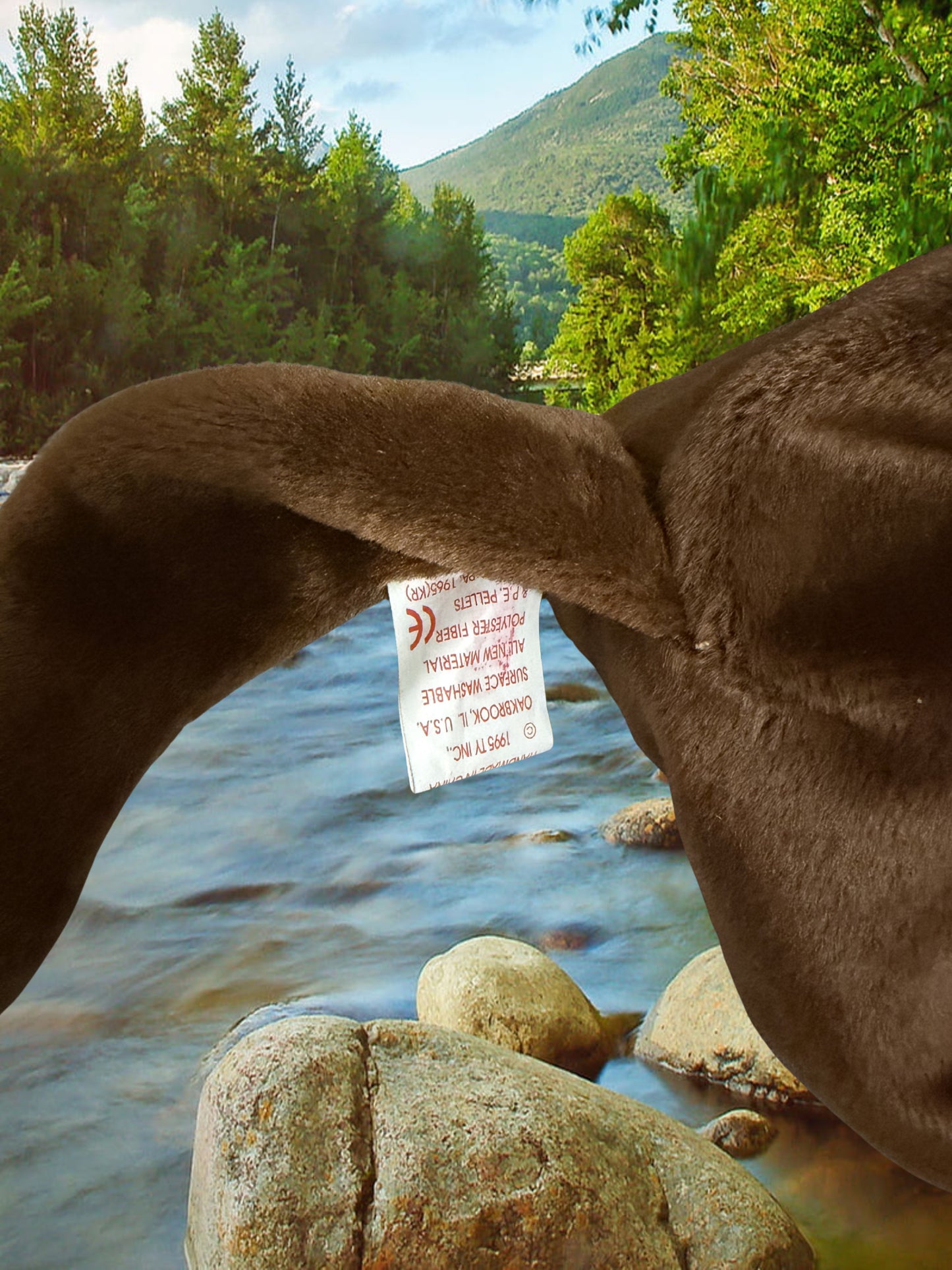 Ty Beanie Baby | Seaweed the Otter 1996