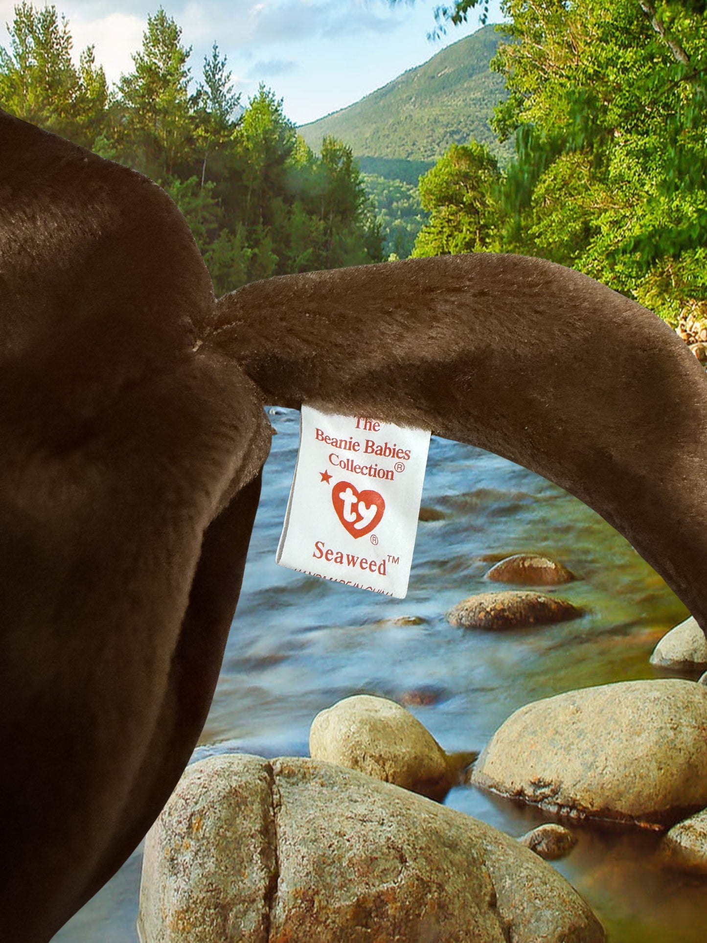 Ty Beanie Baby | Seaweed the Otter 1996